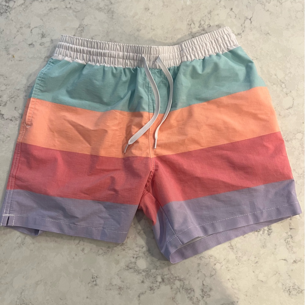 Chubbies Swim Trunks